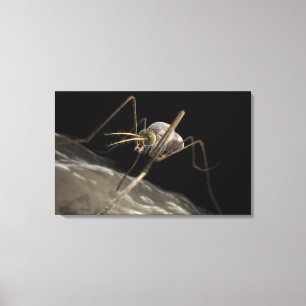 Sluit 3d muggenbijten af canvas afdruk
