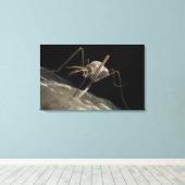 Sluit 3d muggenbijten af canvas afdruk (Insitu (Houten vloer))