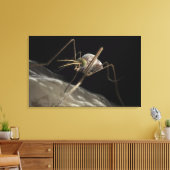Sluit 3d muggenbijten af canvas afdruk (Insitu (Woonkamer))