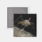 Sluit 3d muggenbijten af magneet (Voorkant / Achterkant)
