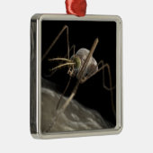 Sluit 3d muggenbijten af metalen ornament (Rechts)