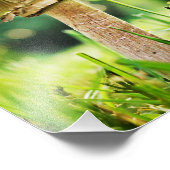 Sluit af met deze Cool Shroom Natuur fotografie Foto Afdruk (Hoek)