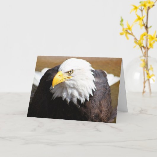 Sluit Bald Eagle Blank Notecard Kaart (Gele Bloem)