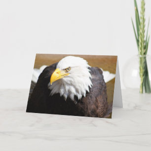 Sluit Bald Eagle Blank Notecard Kaart