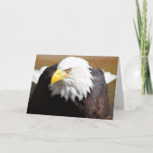 Sluit Bald Eagle Blank Notecard Kaart (Voorkant)