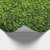Sluit Bright Green Hedge op Cadeaupapier (Hoek)
