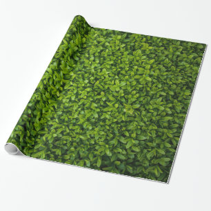 Sluit Bright Green Hedge op Cadeaupapier