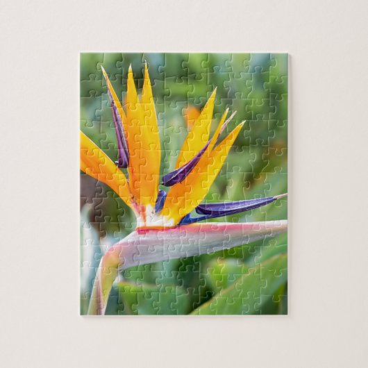 Sluit Crane flower of Strelitzia reginaei Legpuzzel (Verticaal)