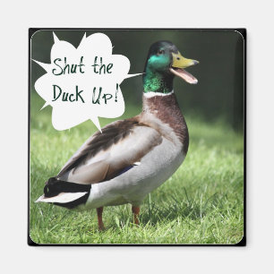Sluit de Duck Up Magnet. Magneet