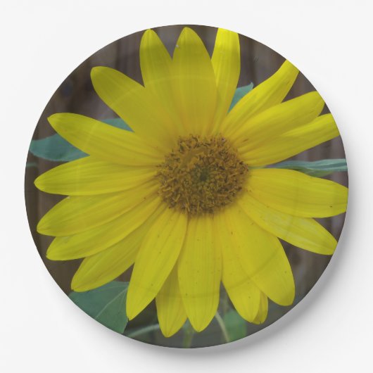 Sluit de gele zonnebloem op een papieren bordje (Voorkant)