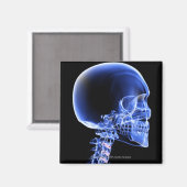 Sluit de röntgenfoto van de botten in de nek magneet (Voorkant / Achterkant)