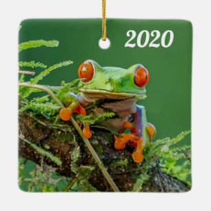 Sluit een kikker van de Rode Oogboom op een tak Keramisch Ornament