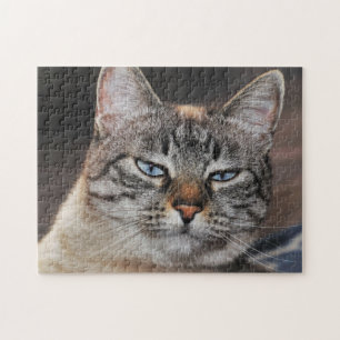 Sluit een Lynx Pointed Cat met Blue Eyes Legpuzzel