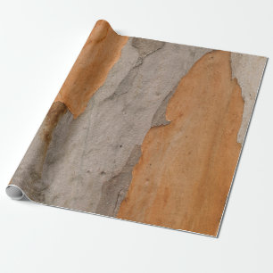 Sluit foto van boomstam cadeaupapier