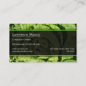 Sluit Foto van een Groene Sla - Visitekaartje (Achterkant)