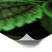 SLUIT FOTO VAN GROEN VERLAAGD PLANT OP POSTER (Hoek)