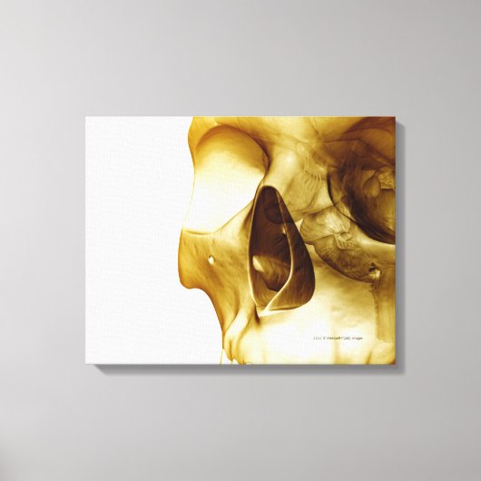 Sluit het frontale uitzicht van de hersenen in een canvas afdruk (Voorkant)