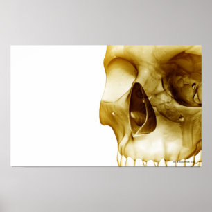 Sluit het frontale uitzicht van de hersenen in een poster