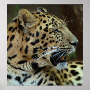 Sluit je ogen niet op me... poster