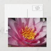 Sluit Lilly Briefkaart (Voorkant / Achterkant)