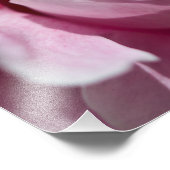 Sluit Pin Peony Flower af Foto Afdruk (Hoek)