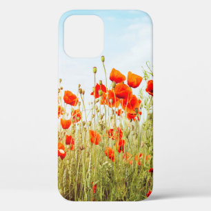 Sluit poppies op het veld. Wilde bloemen in de len Case-Mate iPhone Case
