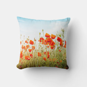 Sluit poppies op het veld. Wilde bloemen in de len Kussen