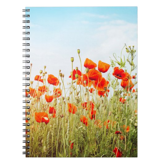 Sluit poppies op het veld. Wilde bloemen in de len Notitieboek (Voorkant)
