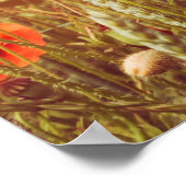 Sluit poppies op het veld. Wilde bloemen in de len Poster (Hoek)