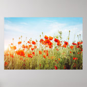 Sluit poppies op het veld. Wilde bloemen in de len Poster (Voorkant)