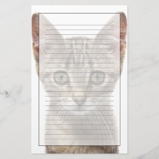 Sluit portret van een kitten af briefpapier (Voorkant)