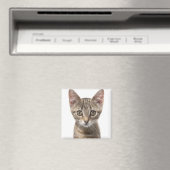 Sluit portret van een kitten af magneet (Insitu (Vaatwasser))