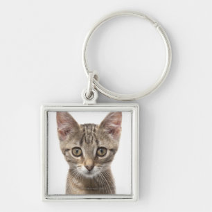 Sluit portret van een kitten af sleutelhanger