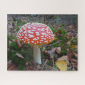 Sluit Puzzle af: Cute Fly Amanita Legpuzzel (Horizontaal)