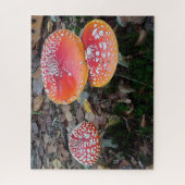 Sluit Puzzle af: Drie vliegende Amanitas Legpuzzel (Verticaal)