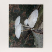 Sluit Puzzle af: spoel paddenstoelen uit porselein Legpuzzel (Verticaal)