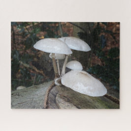 Sluit Puzzle af: spoel paddenstoelen uit porselein Legpuzzel