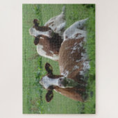 Sluit Puzzle af: twee Cute White-Brown Koeien Legpuzzel (Verticaal)
