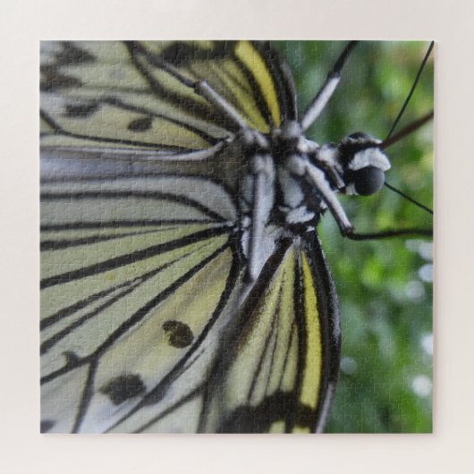 Sluit Puzzle af: zwarte en witte vlinder Legpuzzel (Horizontaal)