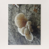 Sluit Puzzle op: Porcelain Mushrooms op boom Legpuzzel (Verticaal)