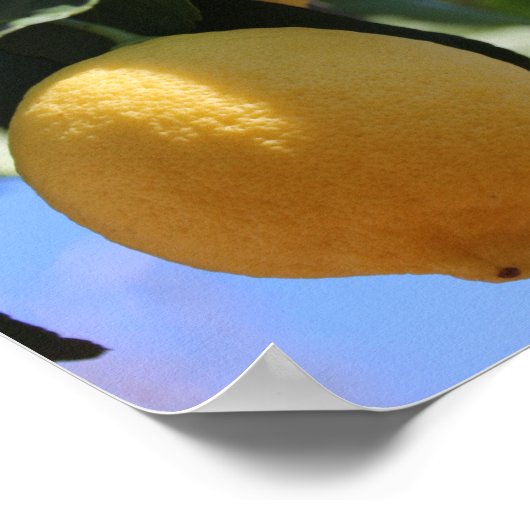 Sluit Tak met het Papier van het Poster van Lemons (Hoek)