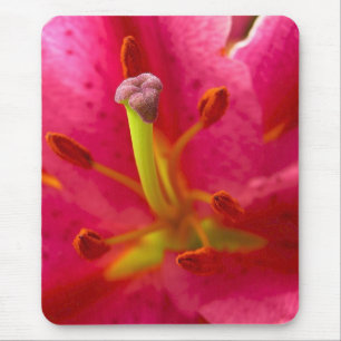 Sluiten Bloem Muismat