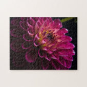 Sluiten bloemen: Dahlia Legpuzzel (Horizontaal)