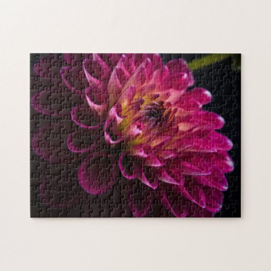 Sluiten bloemen: Dahlia Legpuzzel (Horizontaal)