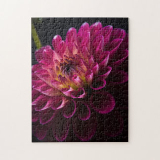 Sluiten bloemen: Dahlia Legpuzzel