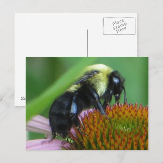 Sluiten Briefkaart (Voorkant / Achterkant)