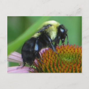 Sluiten Briefkaart