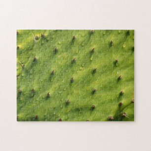 Sluiten Cactus (extreem moeilijk) Legpuzzel