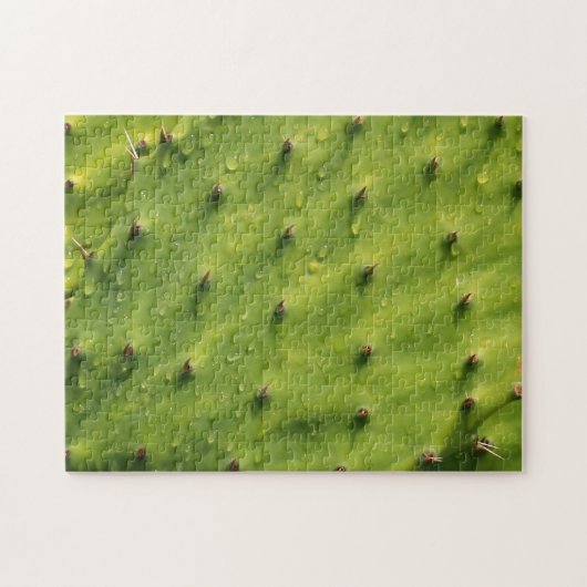 Sluiten Cactus (extreem moeilijk) Legpuzzel (Horizontaal)