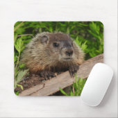 Sluiten Cute Baby Woodchuck Groundhog Muismat (Met muis)